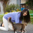 치히로 이미지