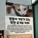 집사의 하루 대구점 이미지