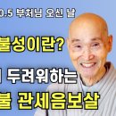 20000511 부처님 오신 날 봉축법회 자막본(진여불성과 나무아미타불) 이미지