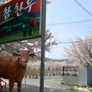 참한우농장 이미지