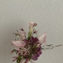 신도원장 | 소피소 스튜디오 위해구 작가님 , 헤어변형 하이데이즈 하이원장님