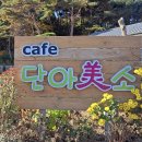 카페단아 티스토리
