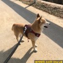 #221207 오늘의 일기 (190번째 일상)