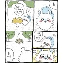 꽁주점빵 네이버블로그
