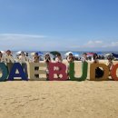 모노리스 스텔라 이미지