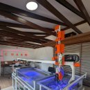 참소프트 이미지