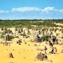 나의오후 이미지