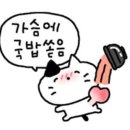 어썸 피아노 콘서트 | 2025 어썸스테이지 [ 권진아 ] / KBS아레나 시야 / 권진아 콘서트 후기