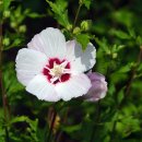 월산농장 이미지