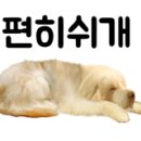 도그팡