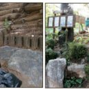 그린아이즈 이미지