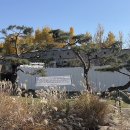 UR(화성시)-[은행나무로]-하-1 | 수원 나홀로 은행나무 가는법 위치