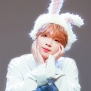 (주)세운 이미지