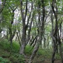 제주 물장오리오름 이미지