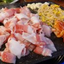 33한돼지 이미지