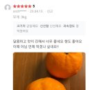 현이네마켓