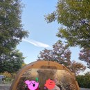 정이품송캠핑장 | 휴힐링 캠핑장 :) ( 구 정이품송 캠핑장 ) 솔찍후기