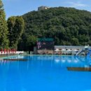 도그샤워 이미지