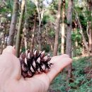 호근동-7 이미지