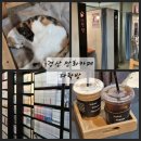 청운로 | 경산 만화카페 영대 다락방 실내 데이트코스 내돈내산후기