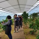 충청농장 이미지