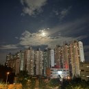 새말공원 이미지