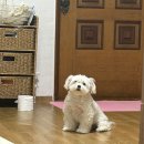행복타임