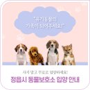 조은동물병원 | 유기동물의 가족이 되어주세요!｜'정읍시 동물보호소' 입양 안내