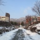 궁내중학교 앞 이미지