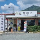 할팽정조