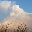 옛날세상 이미지