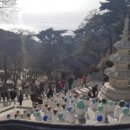 별빛드리운호수 이미지