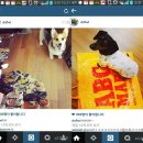 몸매짱 얼굴짱 윤승아의 ABC마트 신발로 동안 스타일링 짱짱걸되기! 이미지