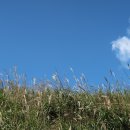 가을하늘 이미지