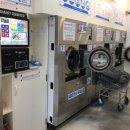 반짝반짝운동화&이불 이미지