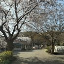 고남저수지 이미지