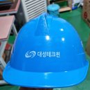 (주)대성테크윈