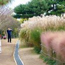 한국도로공사수목원 이미지