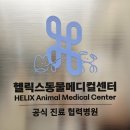 스무해 동물병원 이미지