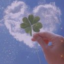 안성(서울) 이미지