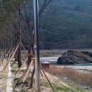 영월 동강오토캠핑장 이미지