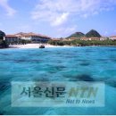 나우메드 이미지