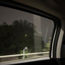 성산읍 오조마을안(정자 옆) | 가을 제주