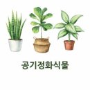 꽃보다 인생 원예 테라피 이미지