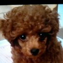 너.애.개 이미지