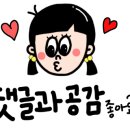 프랭크버거춘천퇴계점 이미지