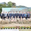 제27회 포천 산정호수 명성산 억새꽃 축제 이미지