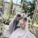 세러데이선데이 | 선데이에 만난 세러데이 스냅: 대전 아이폰 스냅 본식 후기