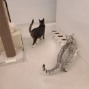 고영주택 이미지