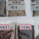 희아
